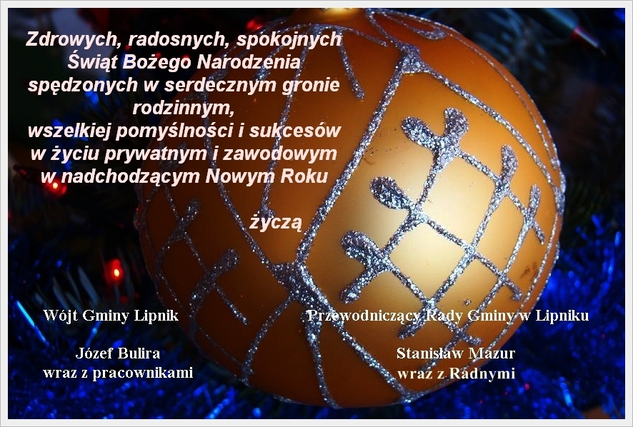 http://www.lipnik.pl/images/biblioteka/20131223-094617-9907.jpg